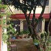 Animesh 